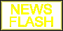 news flash logo