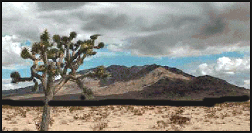 Scenic view of Mojave Desert
