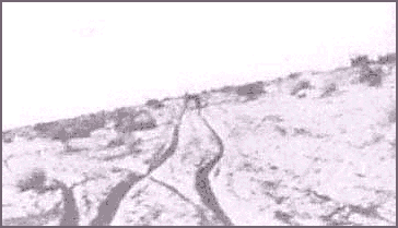 Photo of highway in 1913